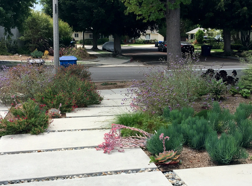 Mar Vista by Lauri Burrier Garden Design Inc. - Photo 8