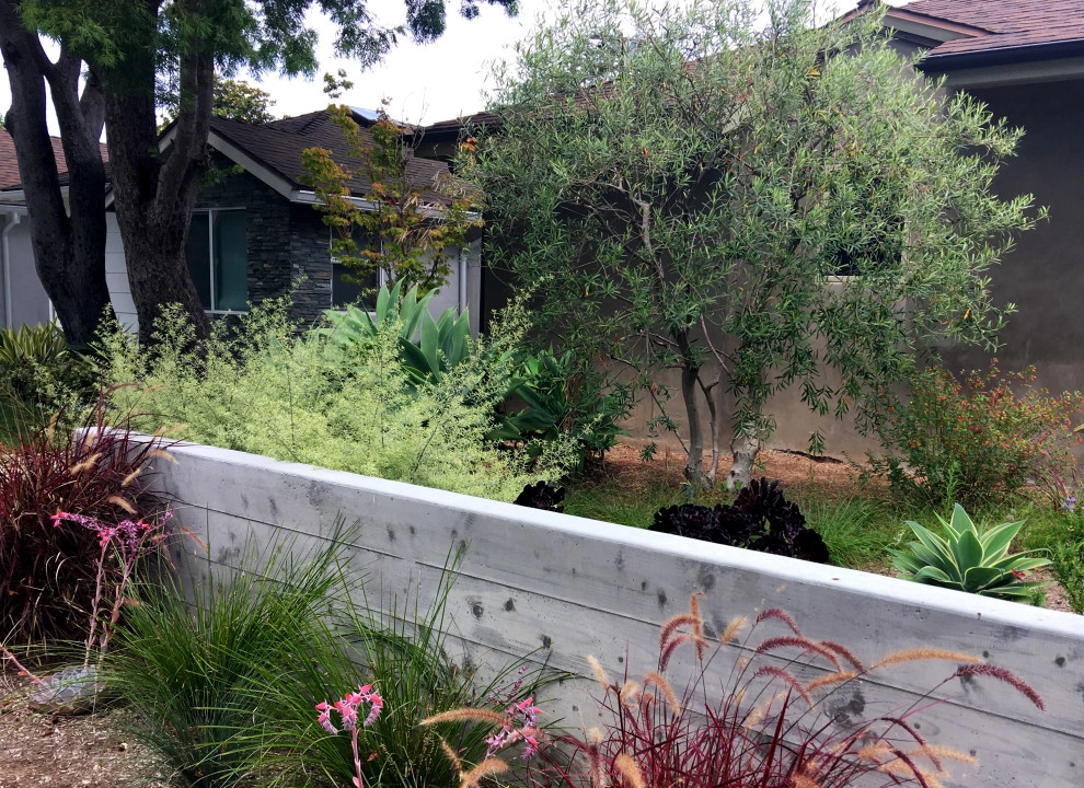 Mar Vista by Lauri Burrier Garden Design Inc. - Photo 7