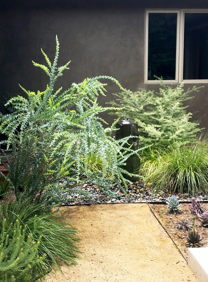 Lauri Burrier Garden Design Inc. - Photo 8