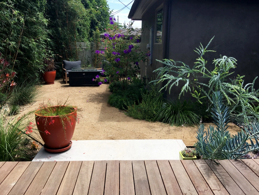 Mar Vista by Lauri Burrier Garden Design Inc. - Photo 5