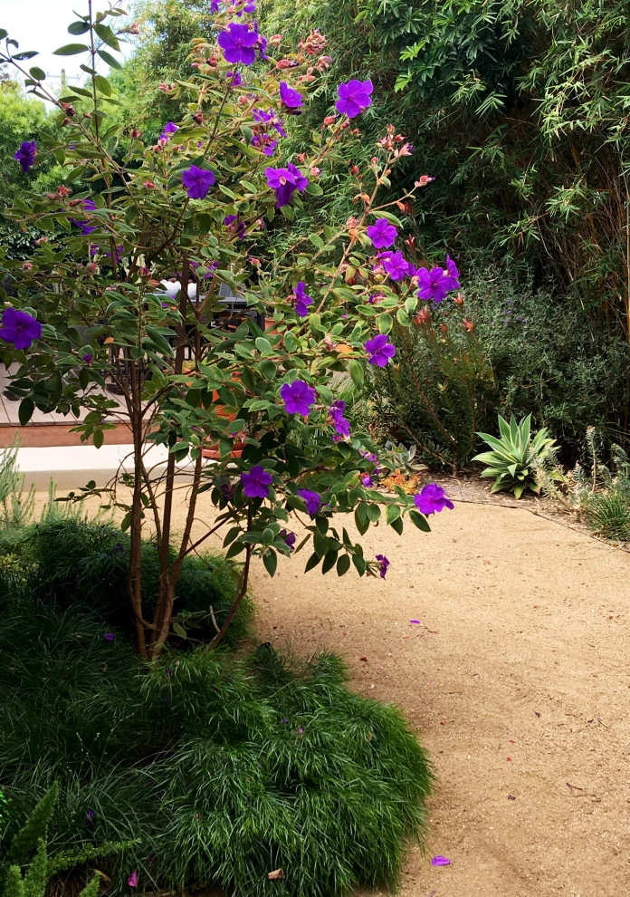 Lauri Burrier Garden Design Inc. - Photo 12
