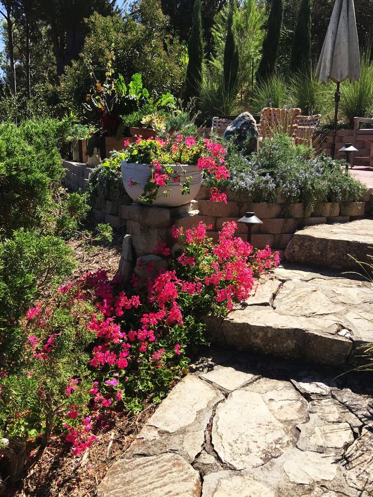 Lauri Burrier Garden Design Inc. - Photo 14