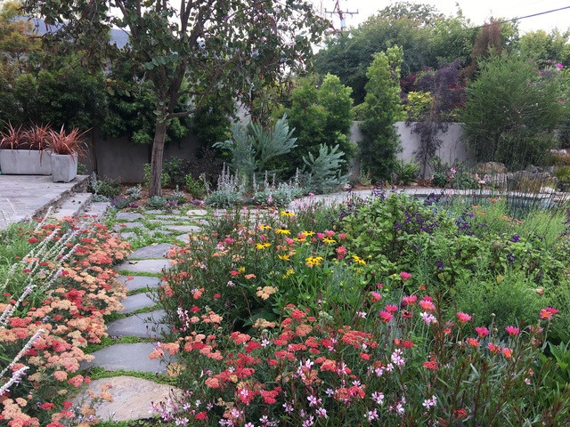 20th Street Santa Monica by Lauri Burrier Garden Design Inc. - Photo 2