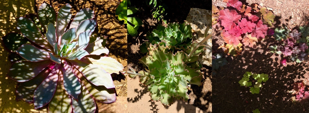 Lauri Burrier Garden Design Inc. - Photo 2