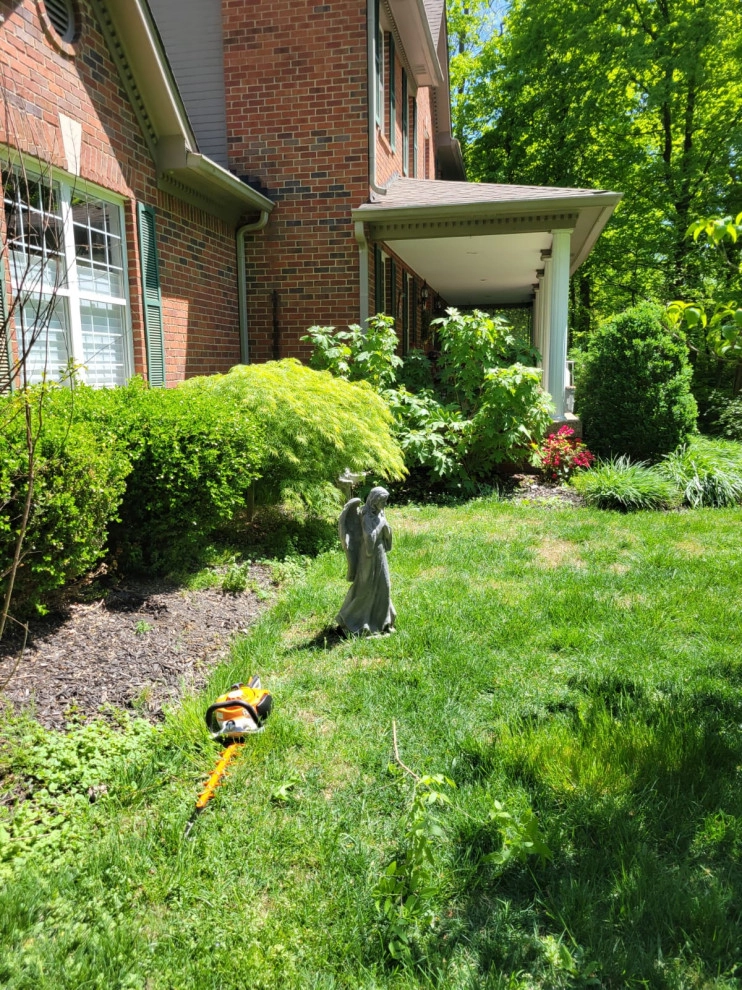 Alberto Alavez Professional Lawn Services LLC 16 by Alberto Alavez Professional Lawn Services LLC - Photo 17
