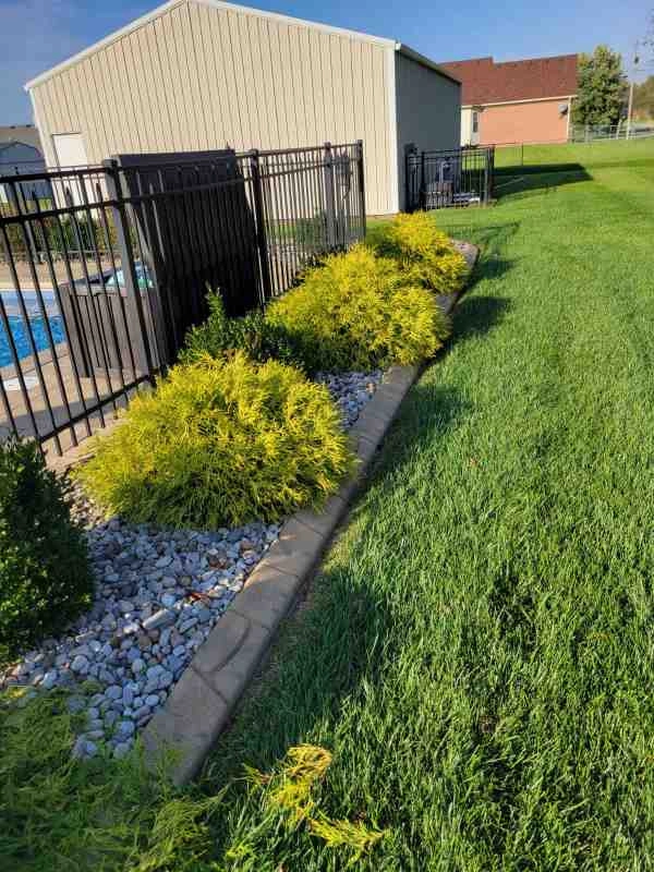 Alberto Alavez Professional Lawn Services LLC 4 by Alberto Alavez Professional Lawn Services LLC - Photo 79