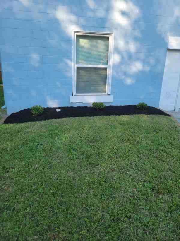 Alberto Alavez Professional Lawn Services LLC 4 by Alberto Alavez Professional Lawn Services LLC - Photo 146
