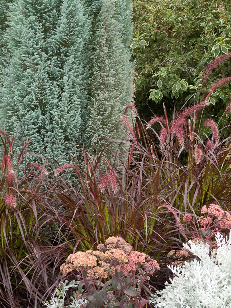 Purple and silver border by Le Jardinet - Photo 12