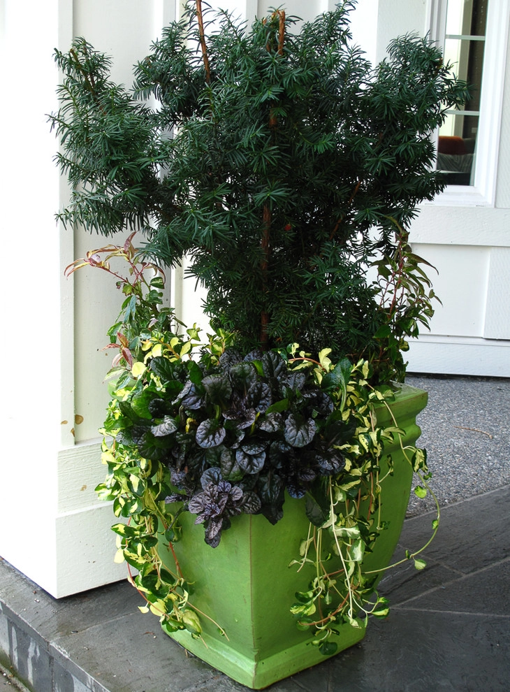 Great Design Plants by Le Jardinet - Photo 68