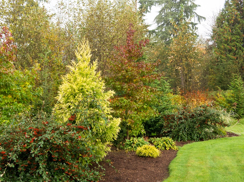 Great Design Plants by Le Jardinet - Photo 73