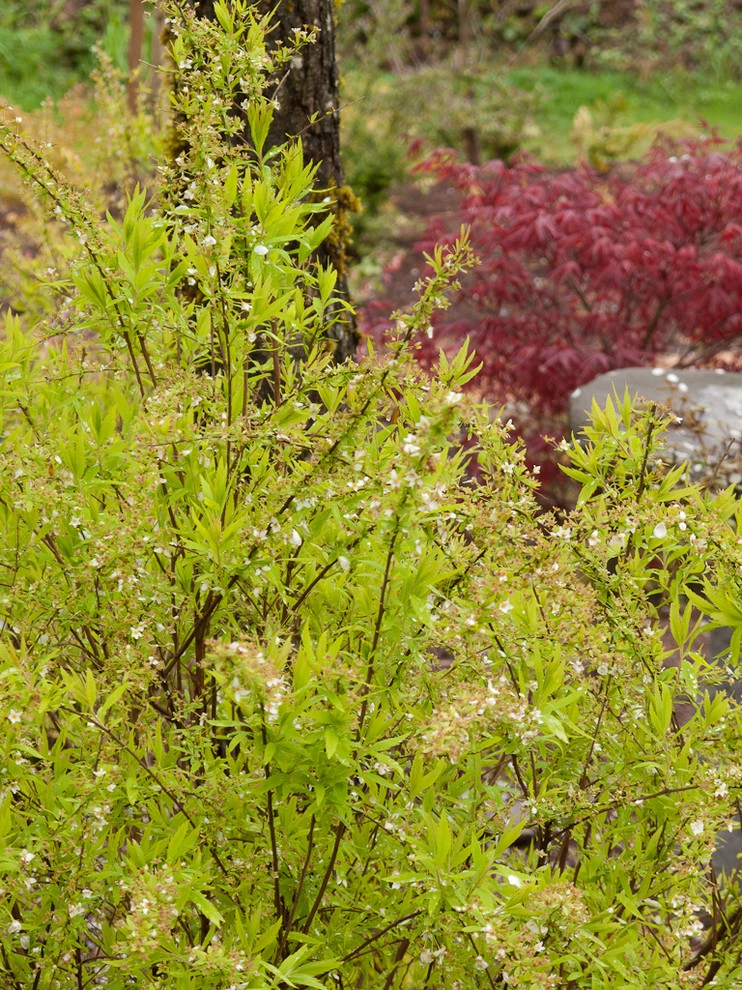 Great Design Plants by Le Jardinet - Photo 24