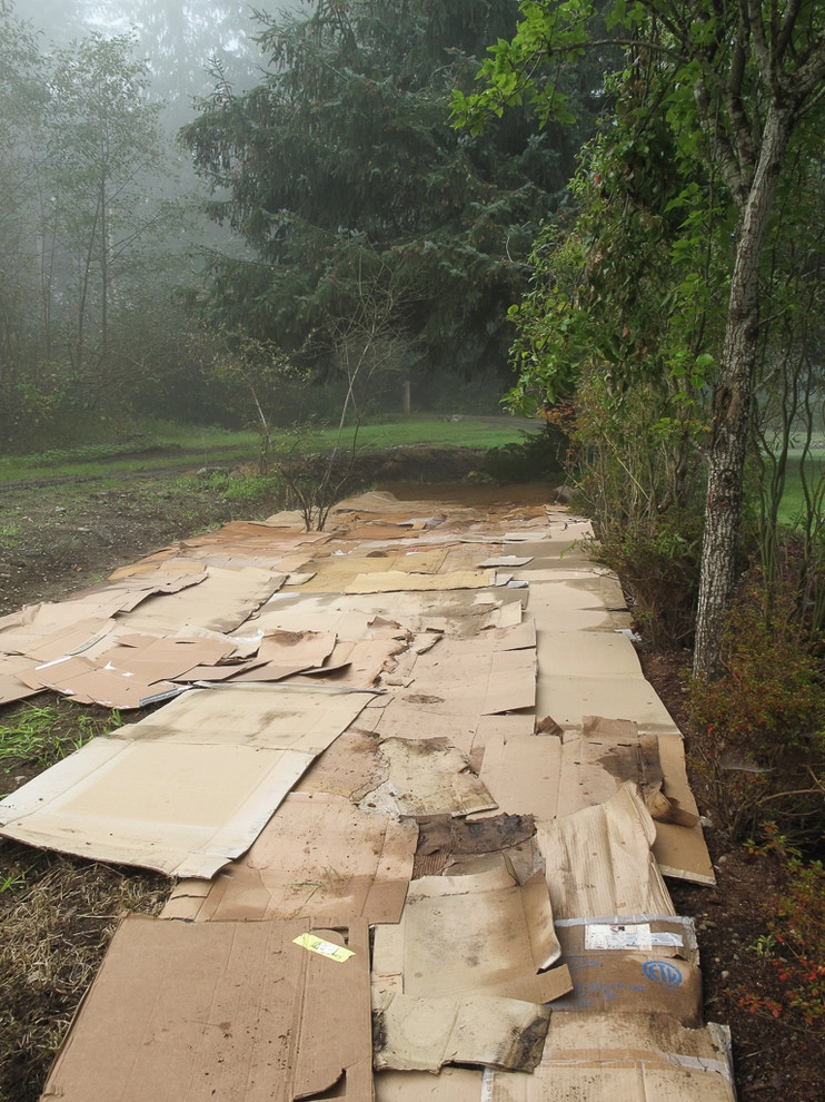 Stream bank by Le Jardinet - Photo 10