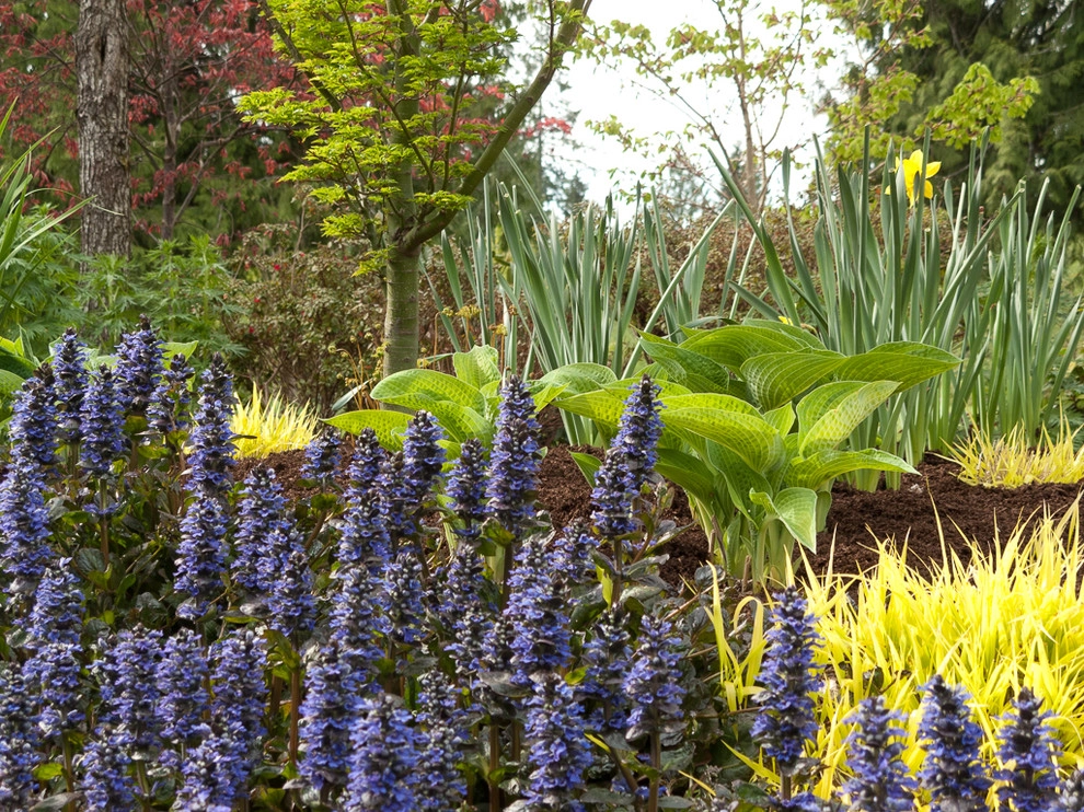 Stream bank by Le Jardinet - Photo 5
