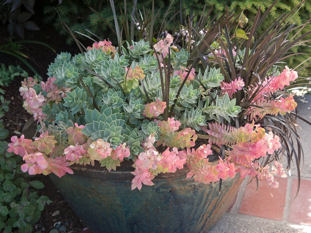 succulent plants and pots by Le Jardinet - Photo 5