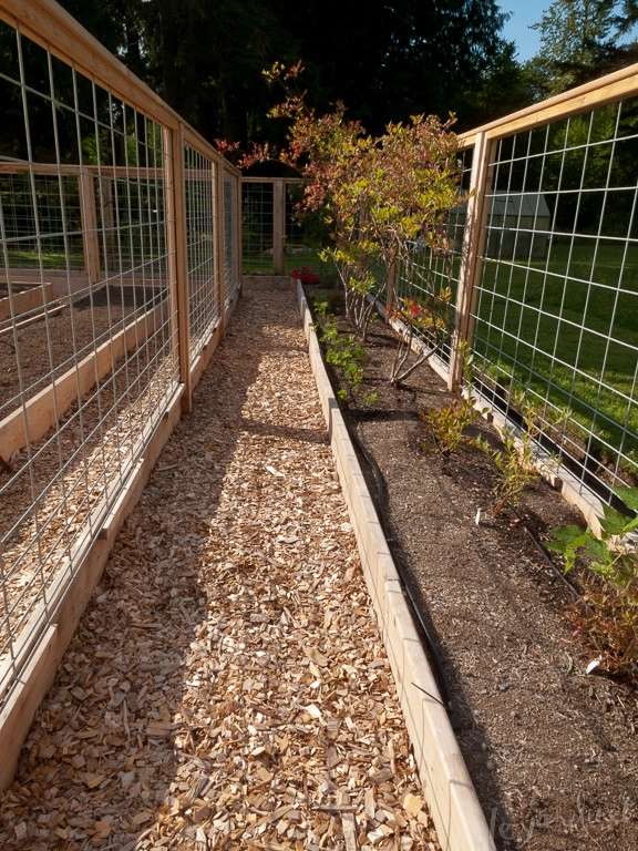 Critter Resistant Vegetable Garden Design by Le Jardinet - Photo 4