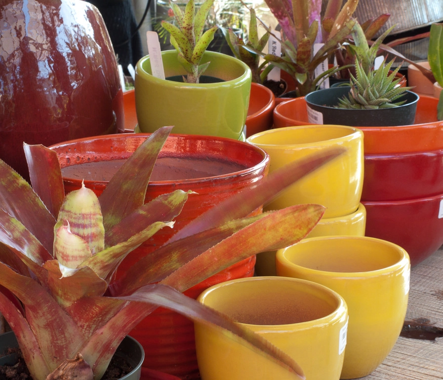 succulent plants and pots by Le Jardinet - Photo 7