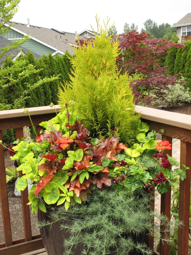 Great Design Plants by Le Jardinet - Photo 12