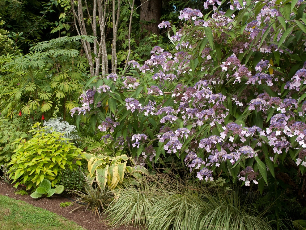 Great Design Plants by Le Jardinet - Photo 50