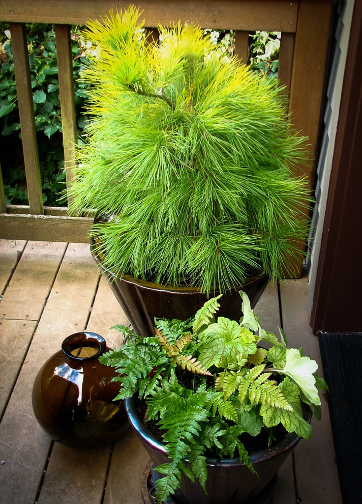Great Design Plants by Le Jardinet - Photo 51