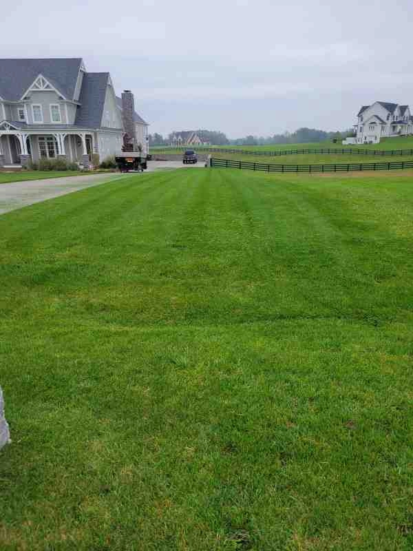 Alberto Alavez Professional Lawn Services LLC 4 by Alberto Alavez Professional Lawn Services LLC - Photo 159