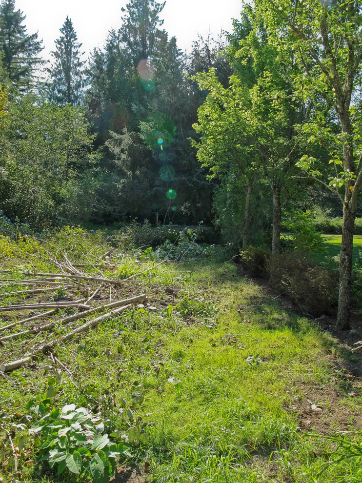 Stream bank by Le Jardinet - Photo 12