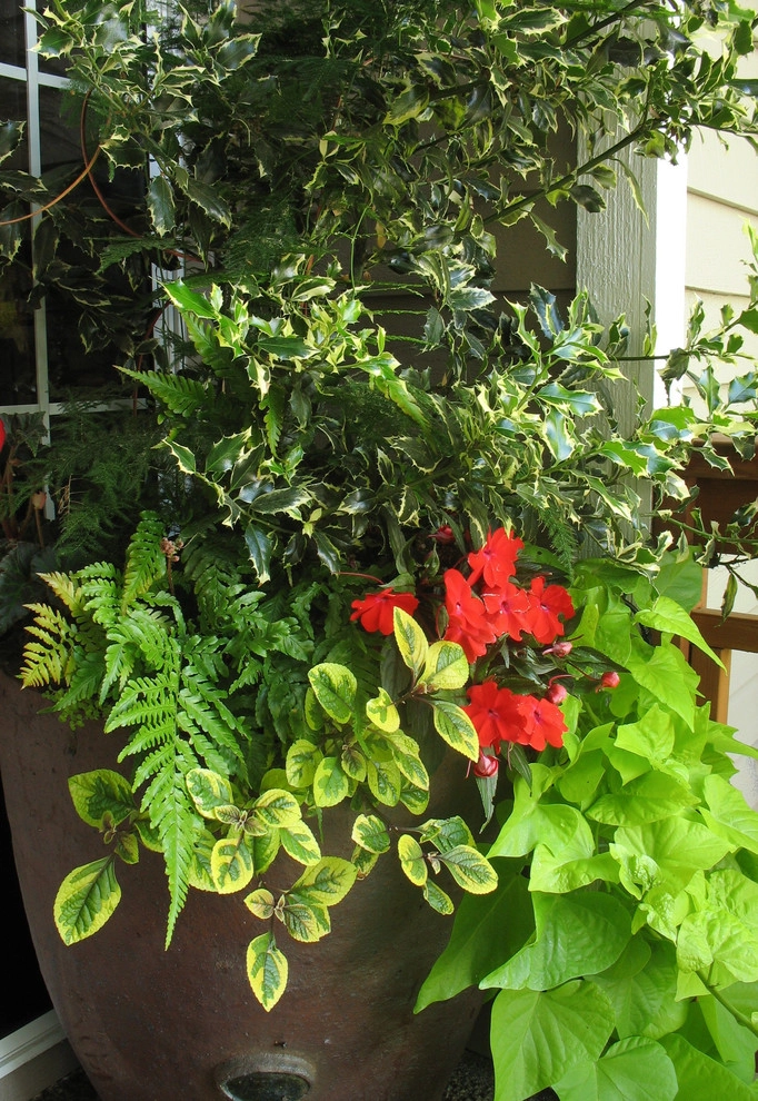 Holiday Container Gardens by Le Jardinet - Photo 14