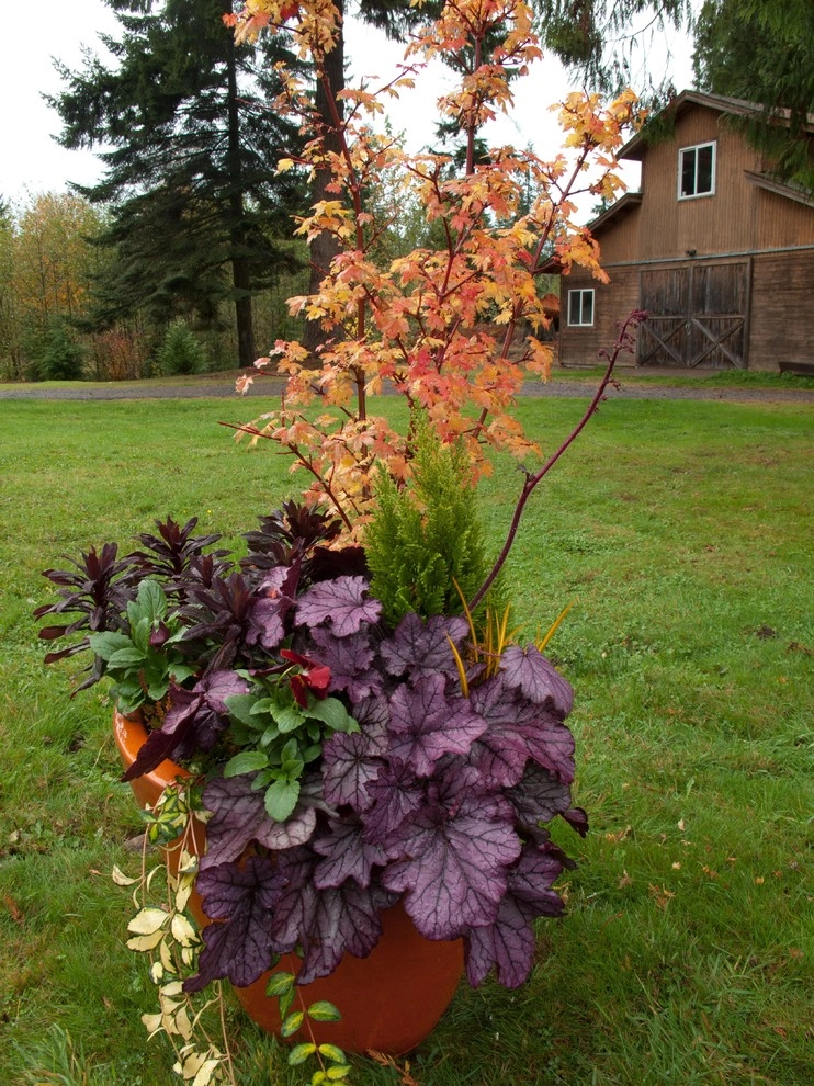 Holiday Container Gardens by Le Jardinet - Photo 6