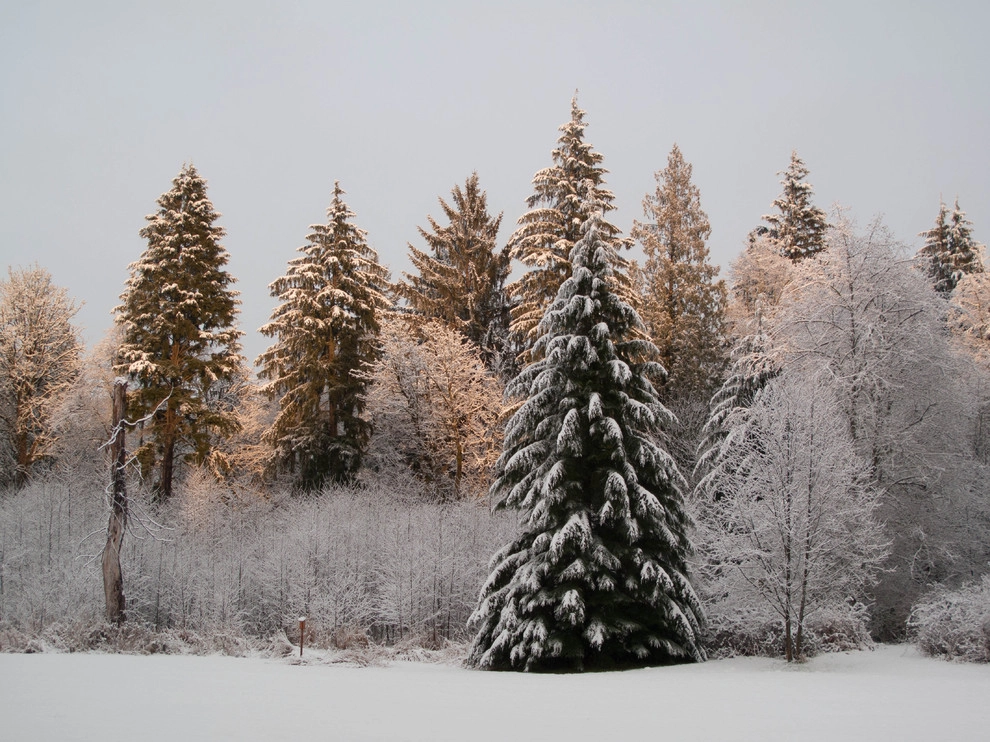 December checklist by Le Jardinet - Photo 2