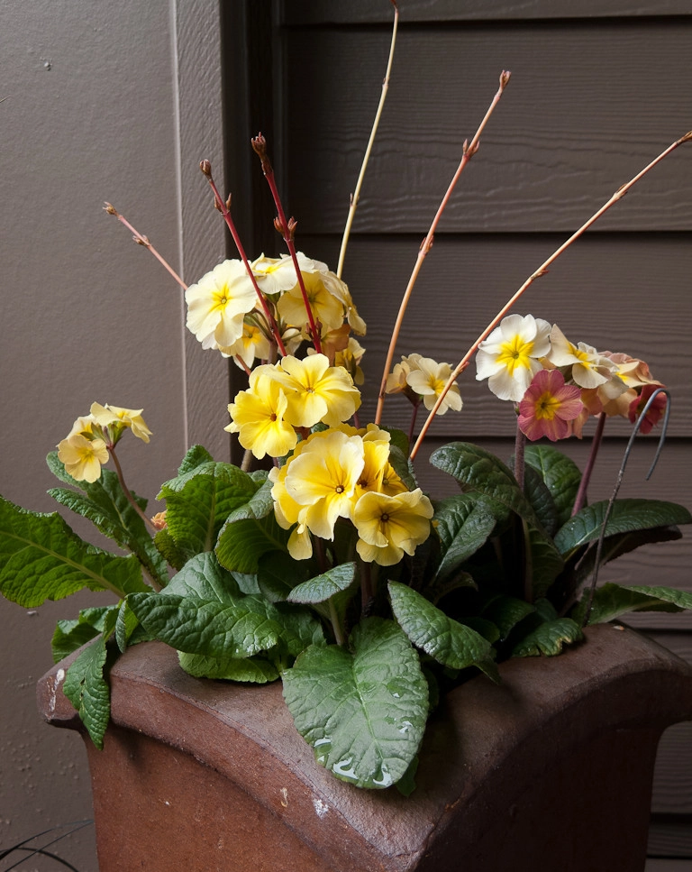 Great Design Plants by Le Jardinet - Photo 76