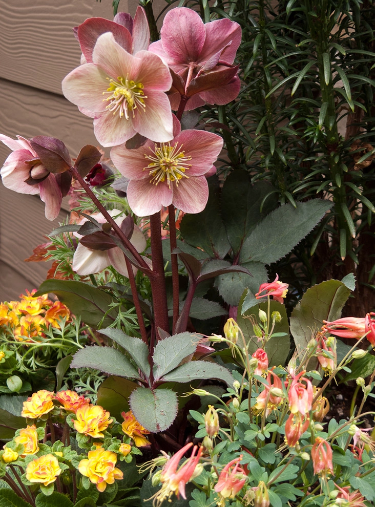 Great Design Plants by Le Jardinet - Photo 99