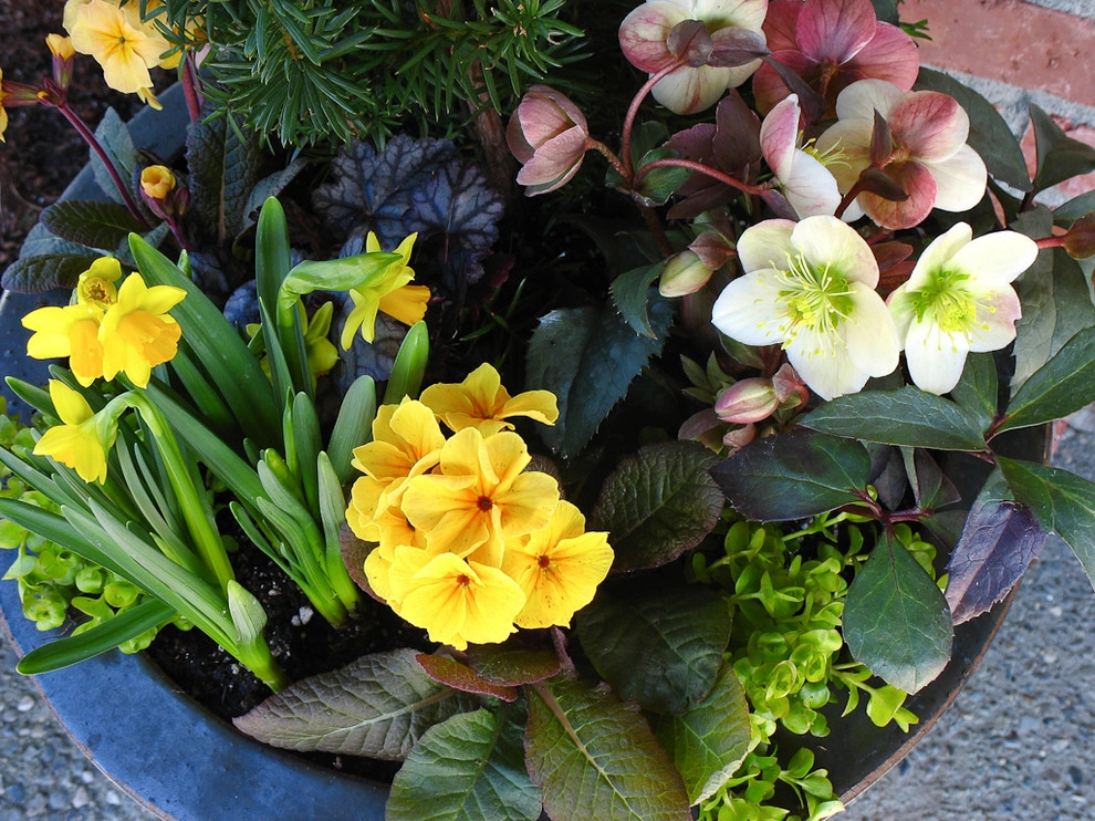 Great Design Plants by Le Jardinet - Photo 21