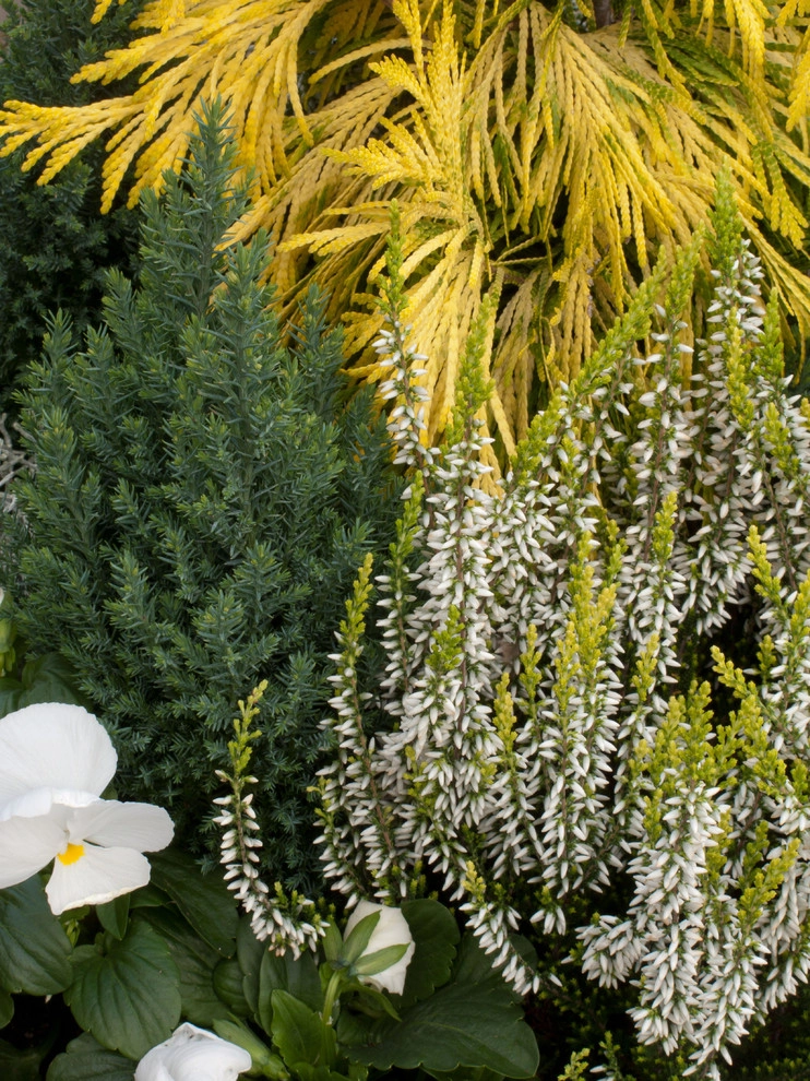 Great Design Plants by Le Jardinet - Photo 69
