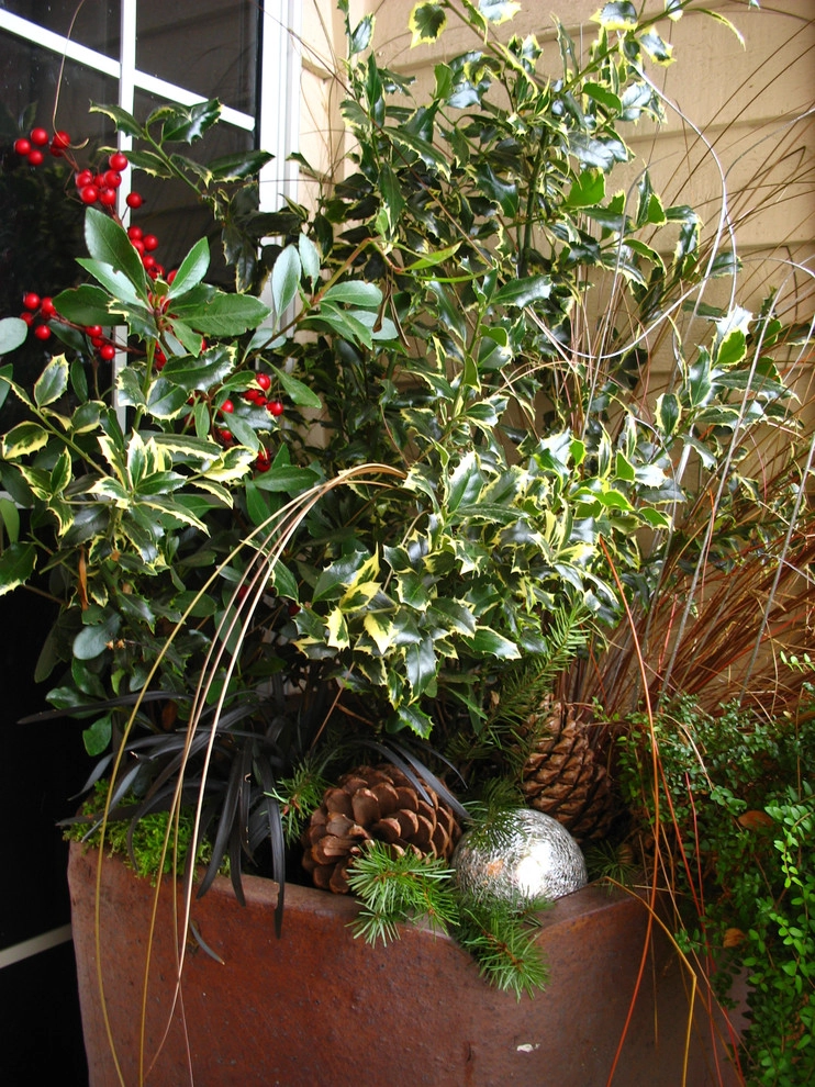 Holiday Container Gardens by Le Jardinet - Photo 2