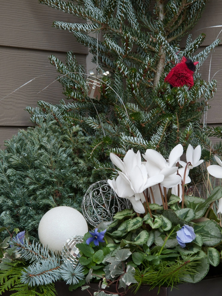 Holiday Container Gardens by Le Jardinet - Photo 7