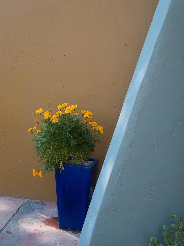 Colored walls in the garden by Le Jardinet - Photo 3