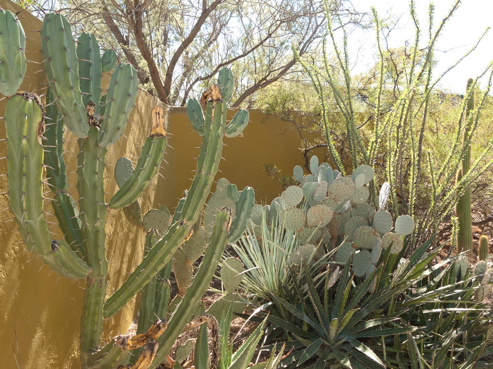 Colored walls in the garden by Le Jardinet - Photo 2