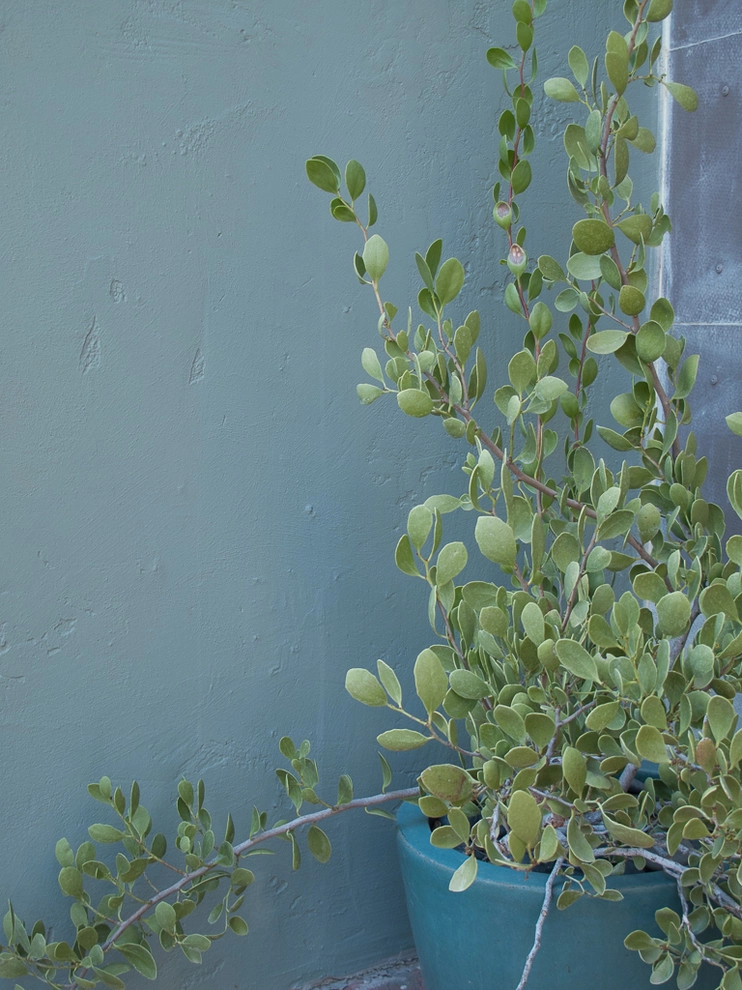 Colored walls in the garden by Le Jardinet - Photo 7