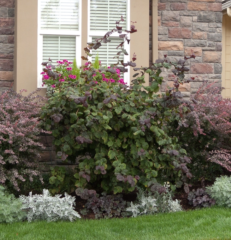 Purple and silver border by Le Jardinet - Photo 4