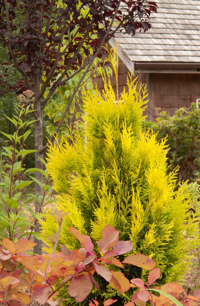 Great Design Plants by Le Jardinet - Photo 85