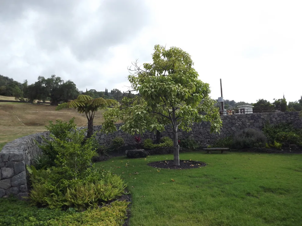 Rogers Farm by Dean Bowman Construction Inc - Photo 29