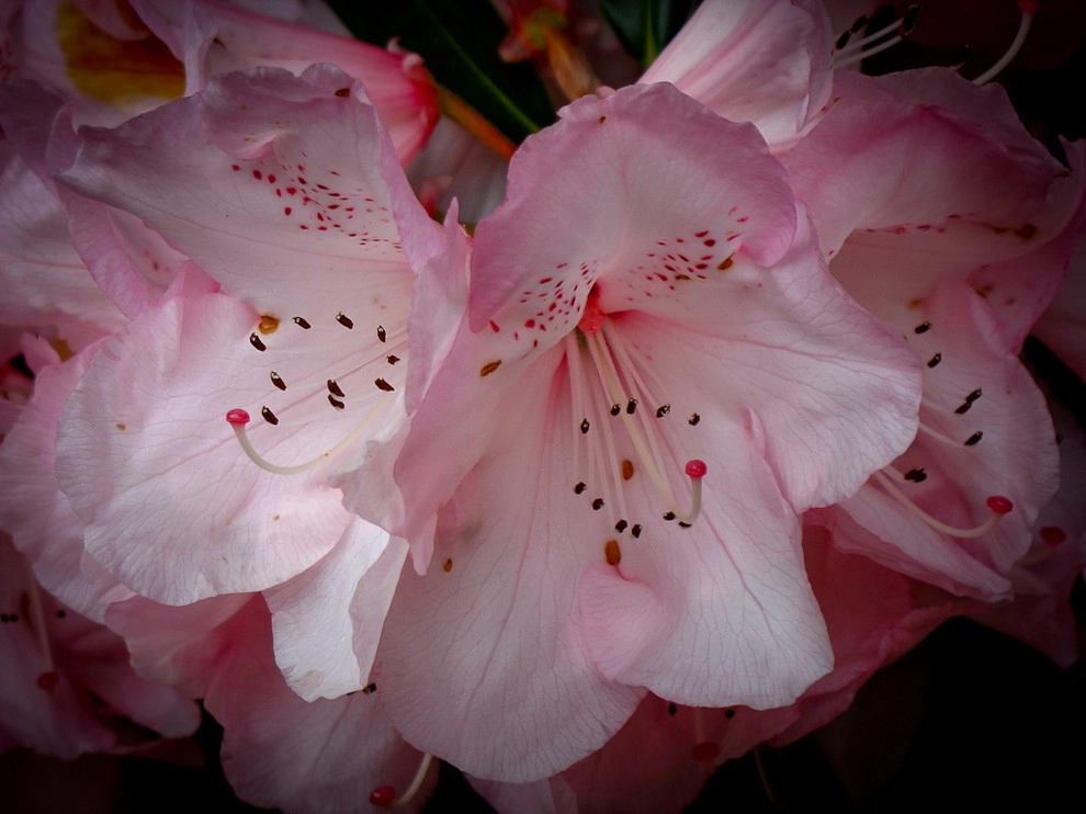 March checklist by Le Jardinet - Photo 2