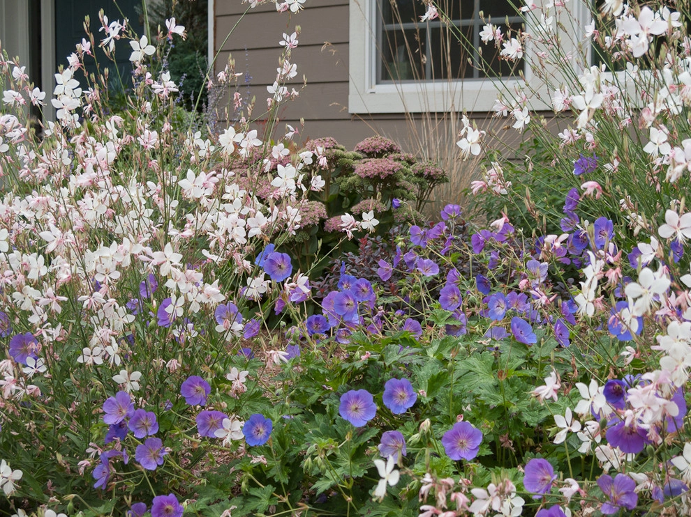 Great Design Plants by Le Jardinet - Photo 63