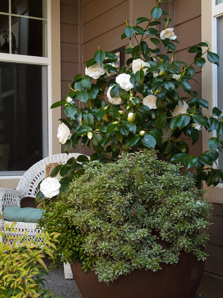 Great Design Plants by Le Jardinet - Photo 14