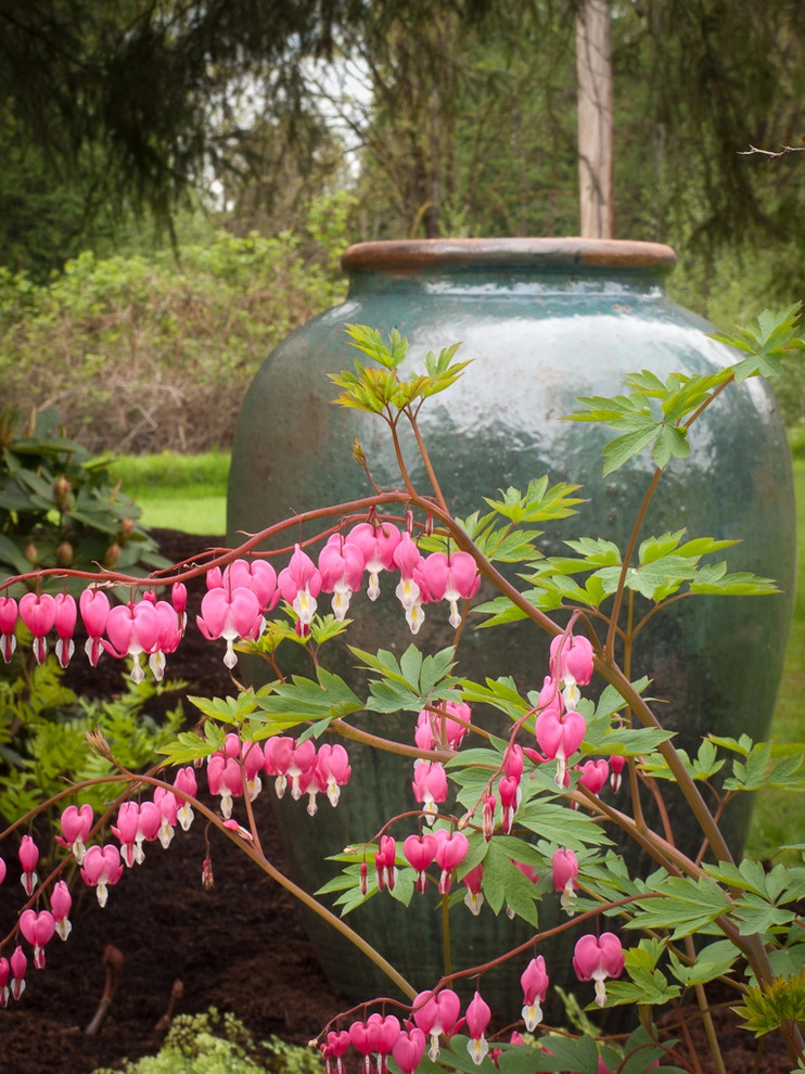 Great Design Plants by Le Jardinet - Photo 58