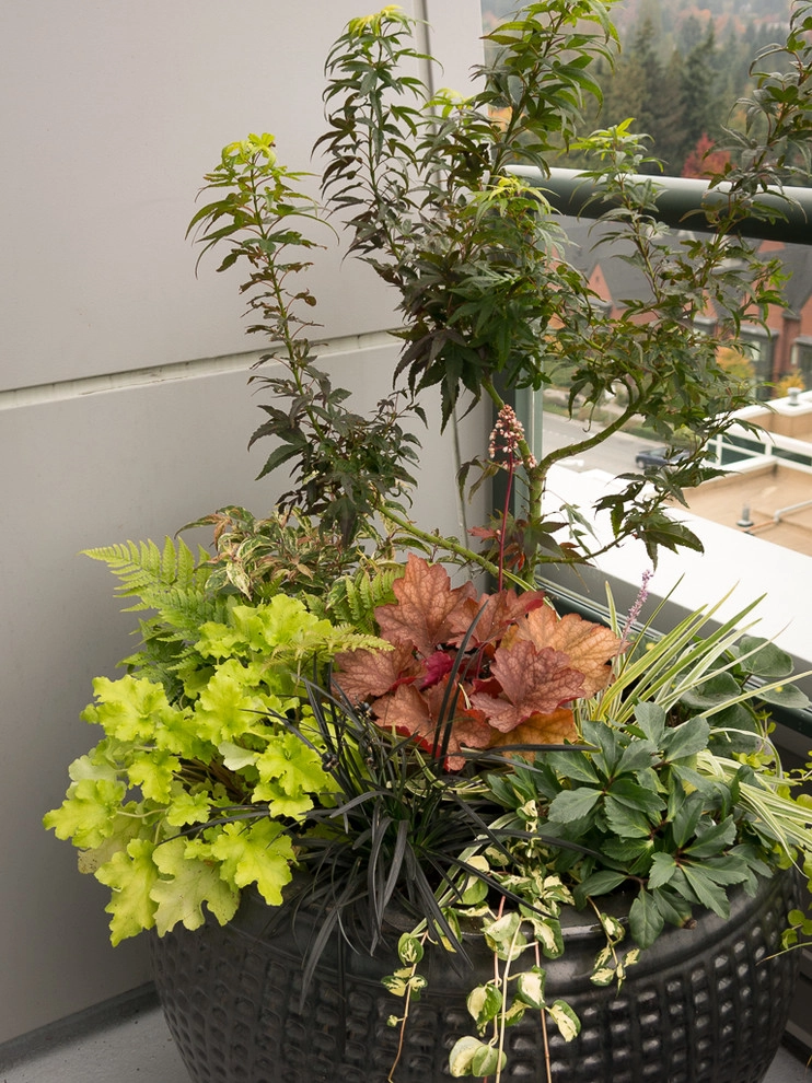 Great Design Plants by Le Jardinet - Photo 46