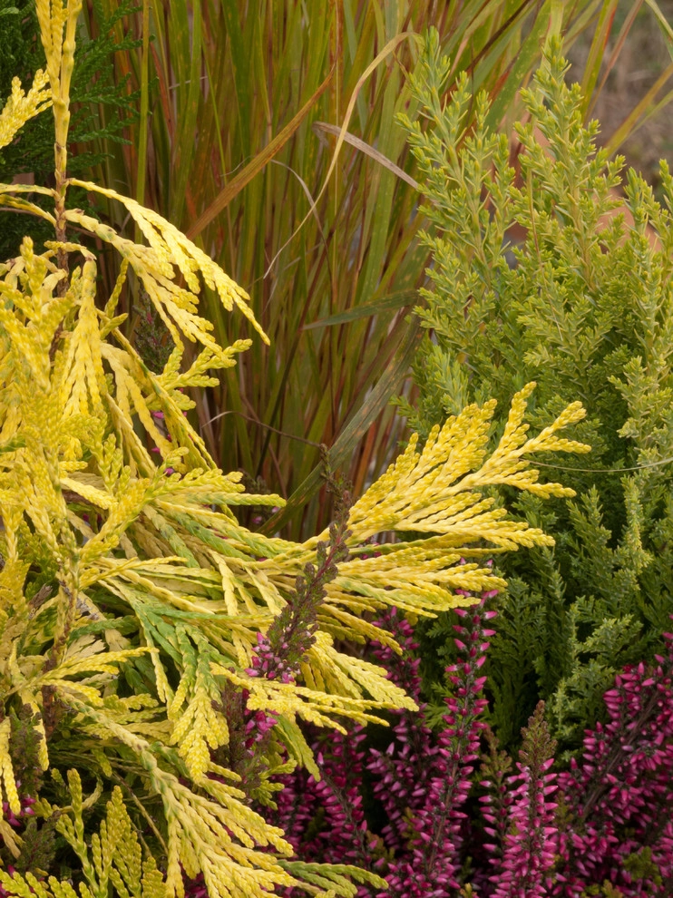 Great Design Plants by Le Jardinet - Photo 17
