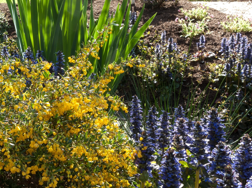 Stream bank by Le Jardinet - Photo 6