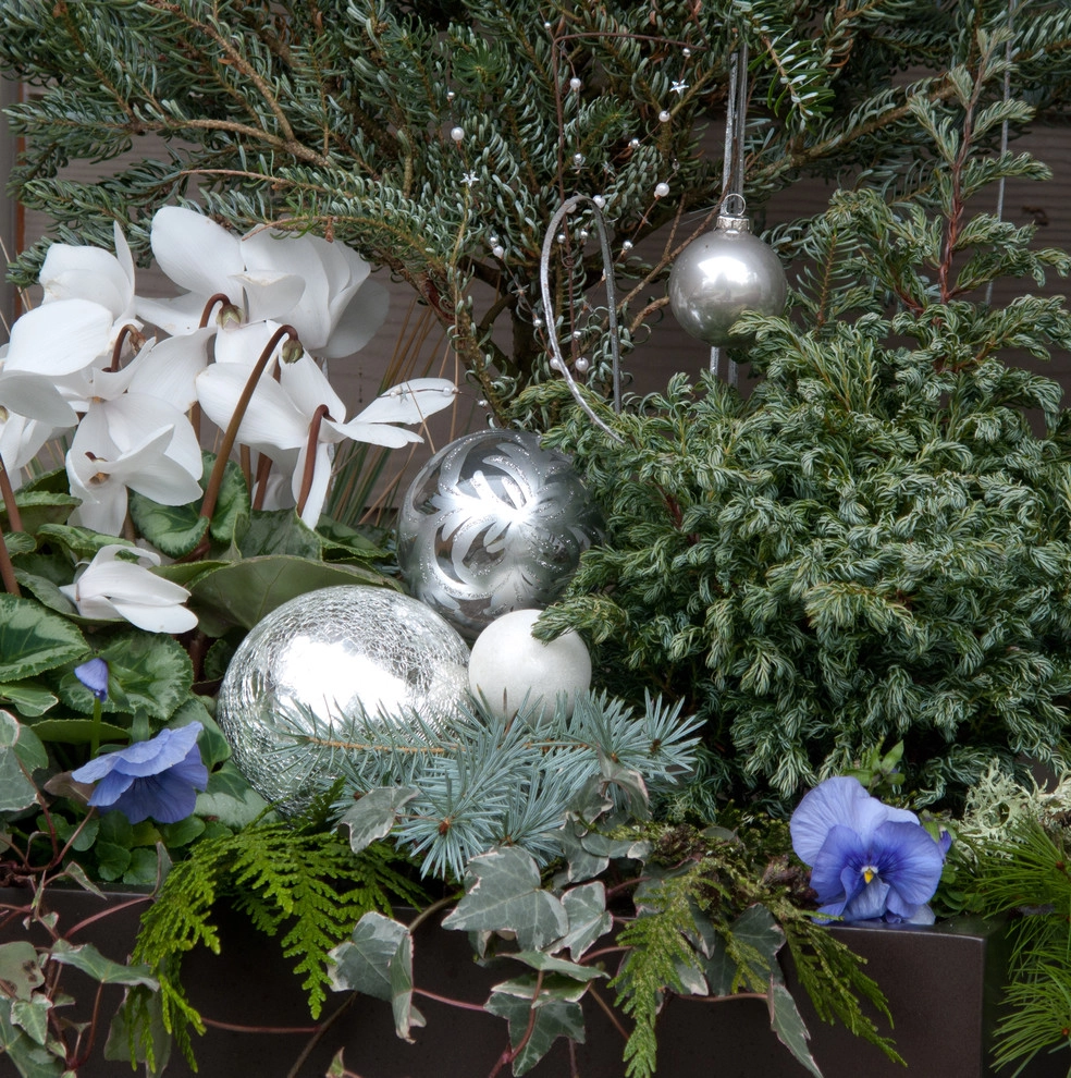 Holiday Container Gardens by Le Jardinet - Photo 12