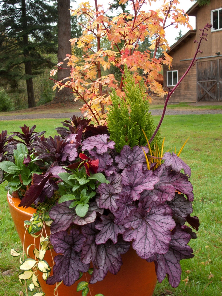 Holiday Container Gardens by Le Jardinet - Photo 8
