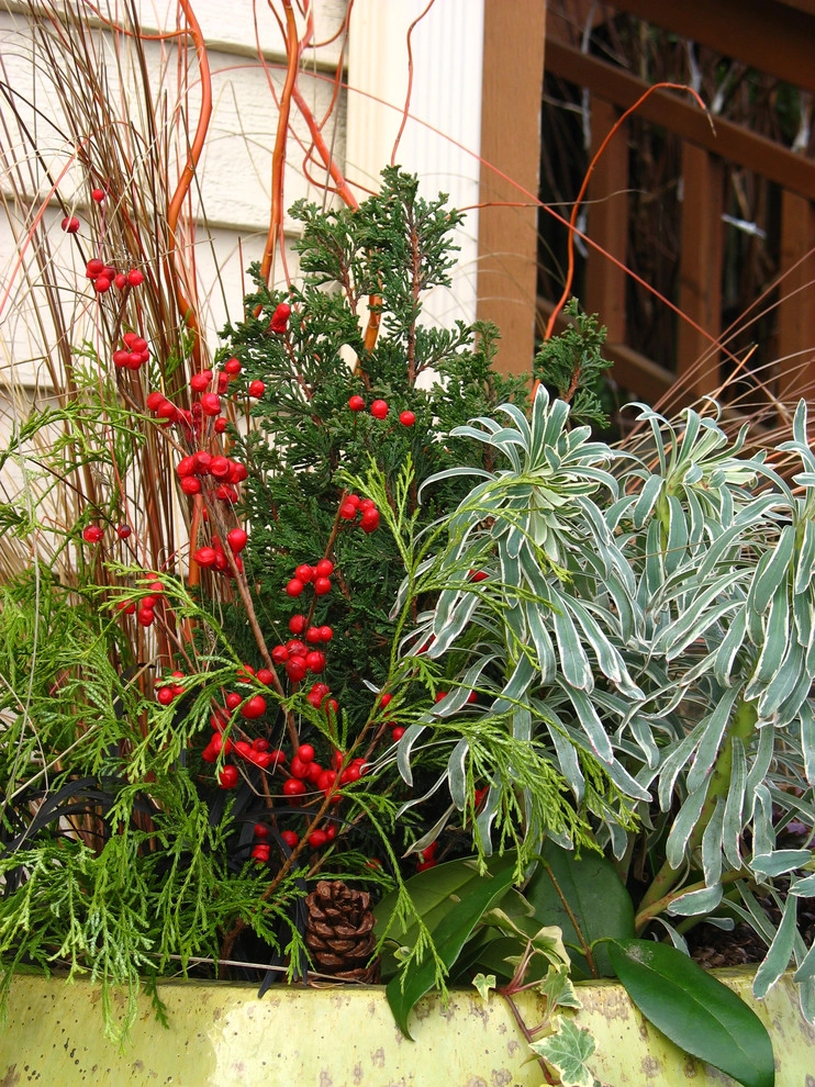 Holiday Container Gardens by Le Jardinet - Photo 9